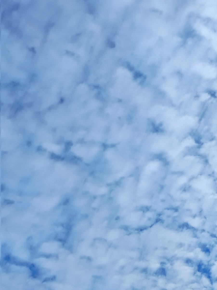 MeteoMóstoles tweet media