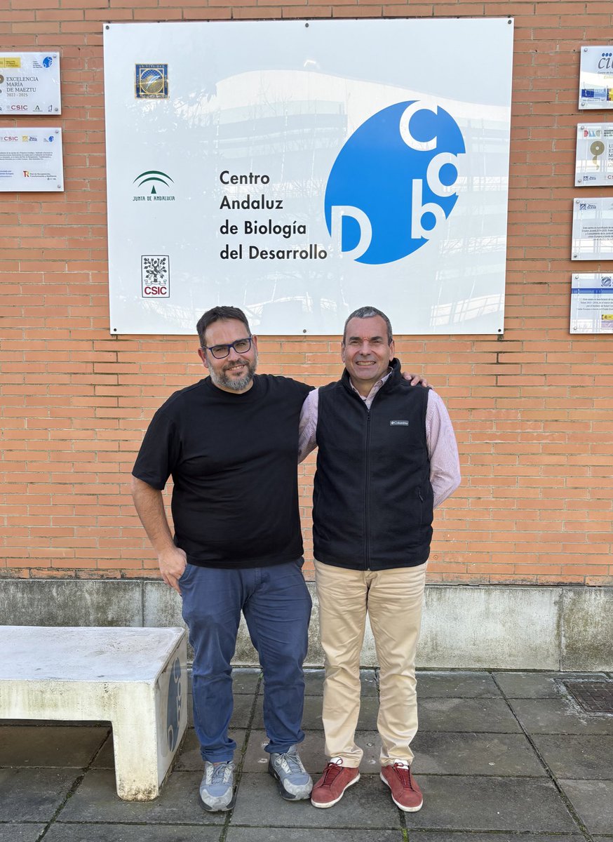 CABD_UPO_CSIC's tweet photo. Exciting talk today at #CABDseminars with @lmescu . Dr. Escudero explained how his research interests led him and his collaborators to discover the #scutoids and the latest work understanding epithelial architecture. Luisma was hosted by Acaimo González Reyes https://t.co/xSAq150hNy