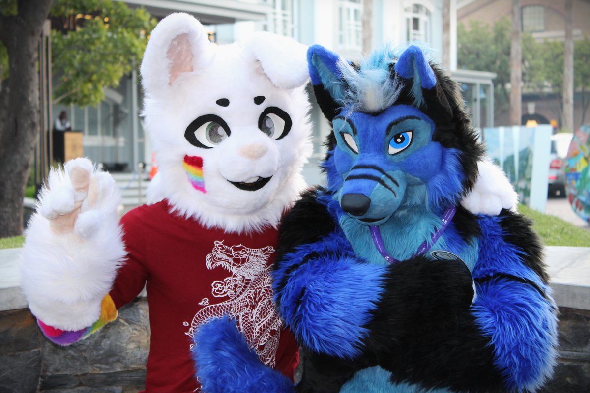 FurnixWolf's tweet photo. When your grumpy because you cant bite the cute bunny.

🐇 @JaceTheBun
📸@Syernide 

#Furries #Furry #FursuitFriday #fursuit #Furnix #FurnixWolf #VAWaterfront #furryfandom #CapeTown https://t.co/eAM8VBuMg3