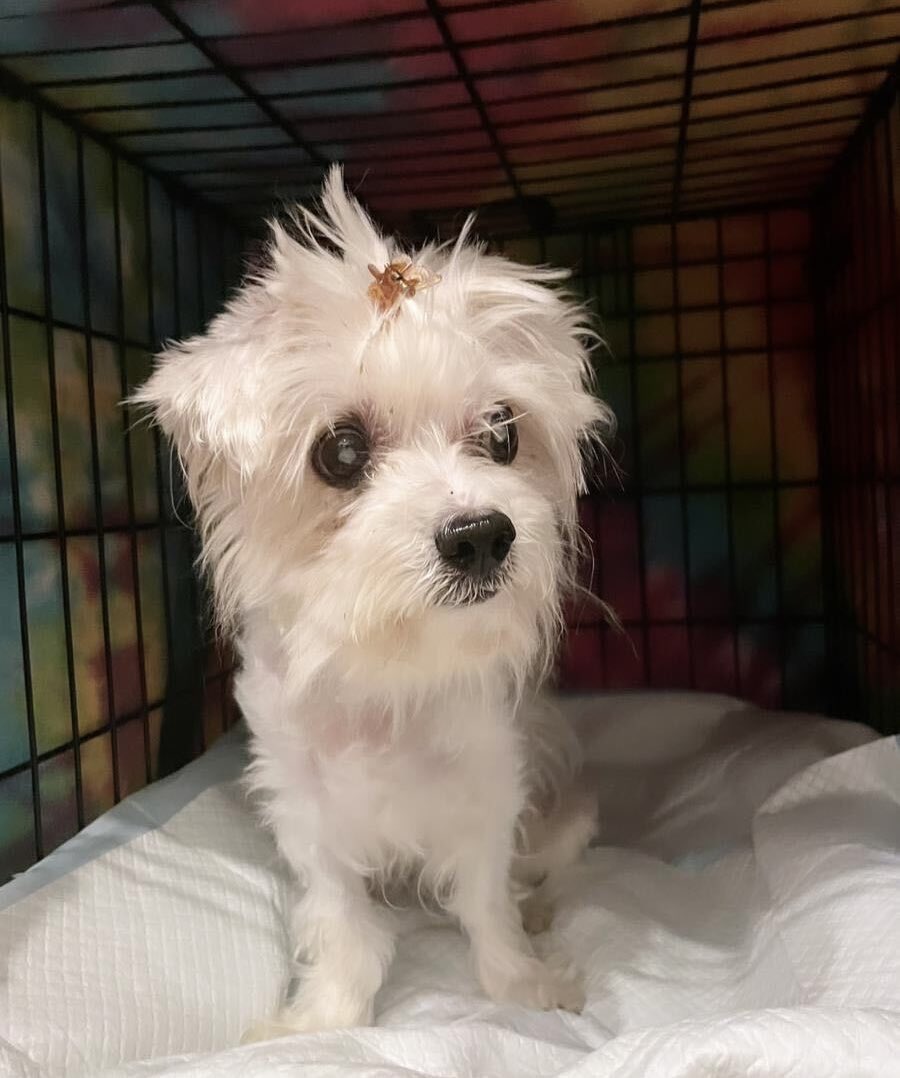 15/10 Foundation tweet media