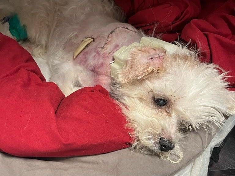 15/10 Foundation tweet media