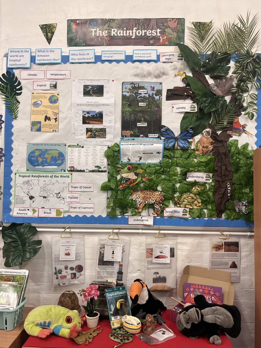 HaseltineYear4's tweet photo. Year 4 learners were discovering biomes and all things rainforests this afternoon. #secondarysources #theamazon #yearfourgeography https://t.co/oyJJna5epg