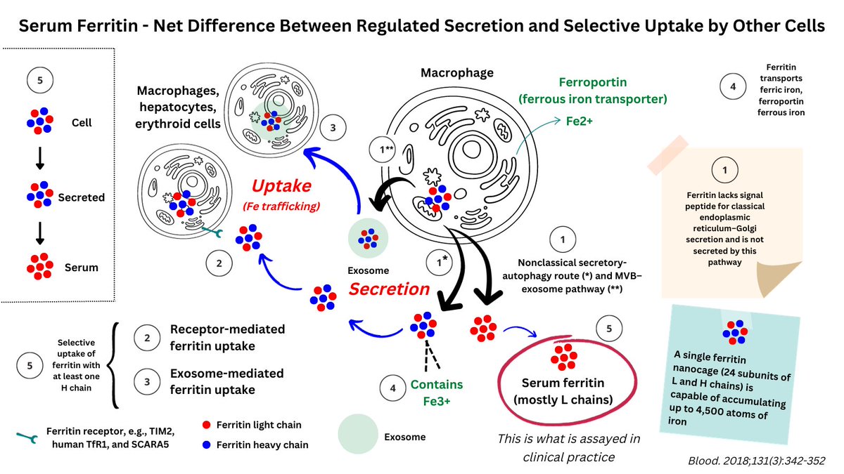 William Aird tweet media