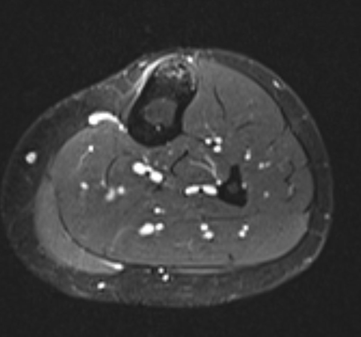 James Noake tweet media