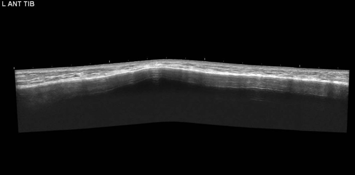 James Noake tweet media