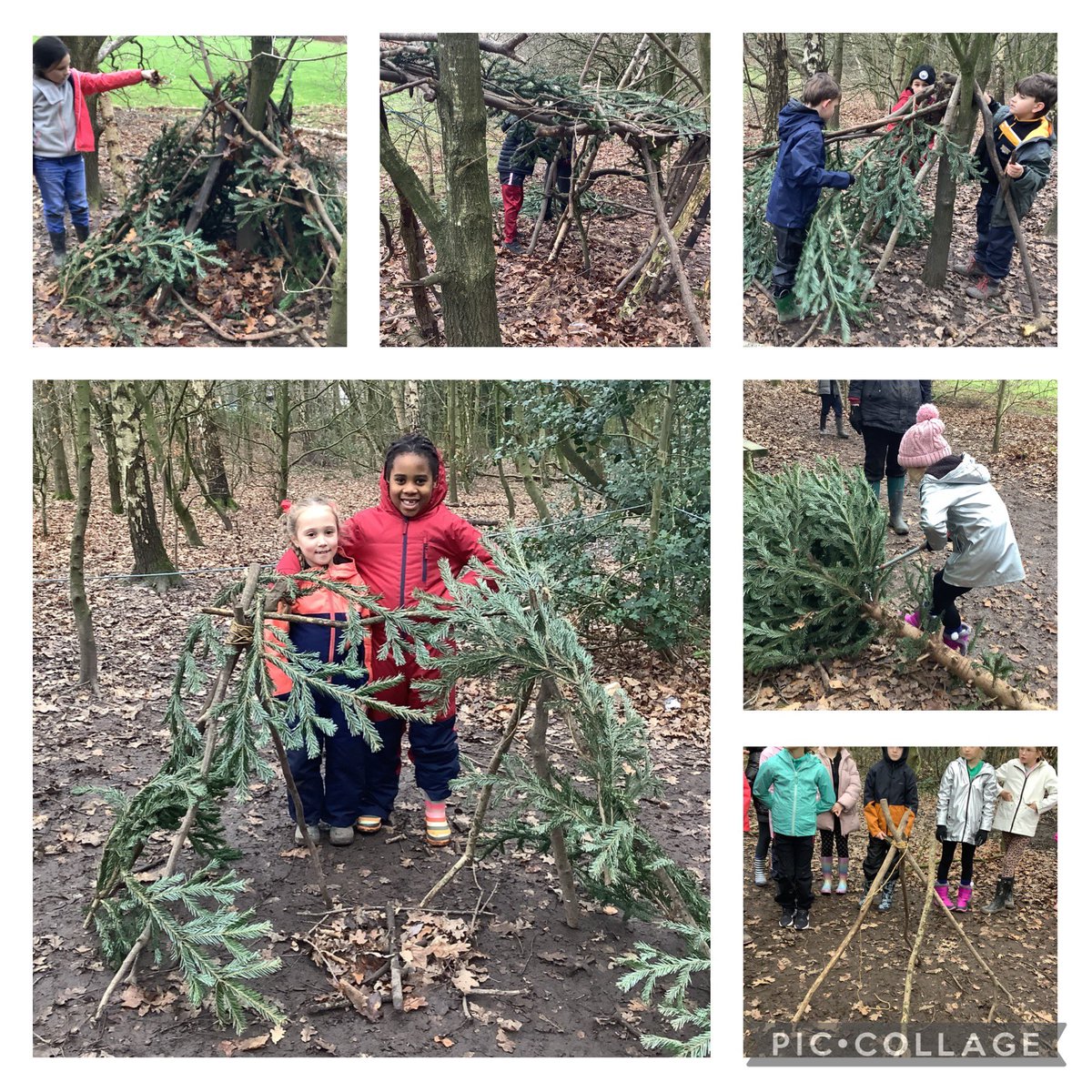StPhilipsY3C's tweet photo. Teamwork was our focus today, creating strong and stable dens with our friends. What fantastic den builders we are! #teamStPhilips @StPhilipCEAP https://t.co/Y2gd0LuAsg