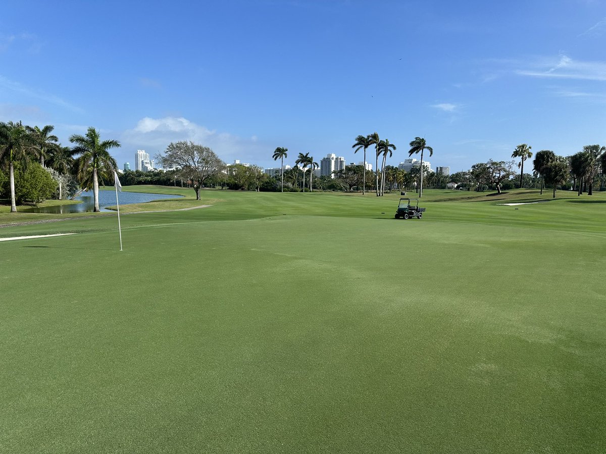 Finally getting a little sunshine today.  This has been a tough stretch of weather but we are holding on strong #turflife