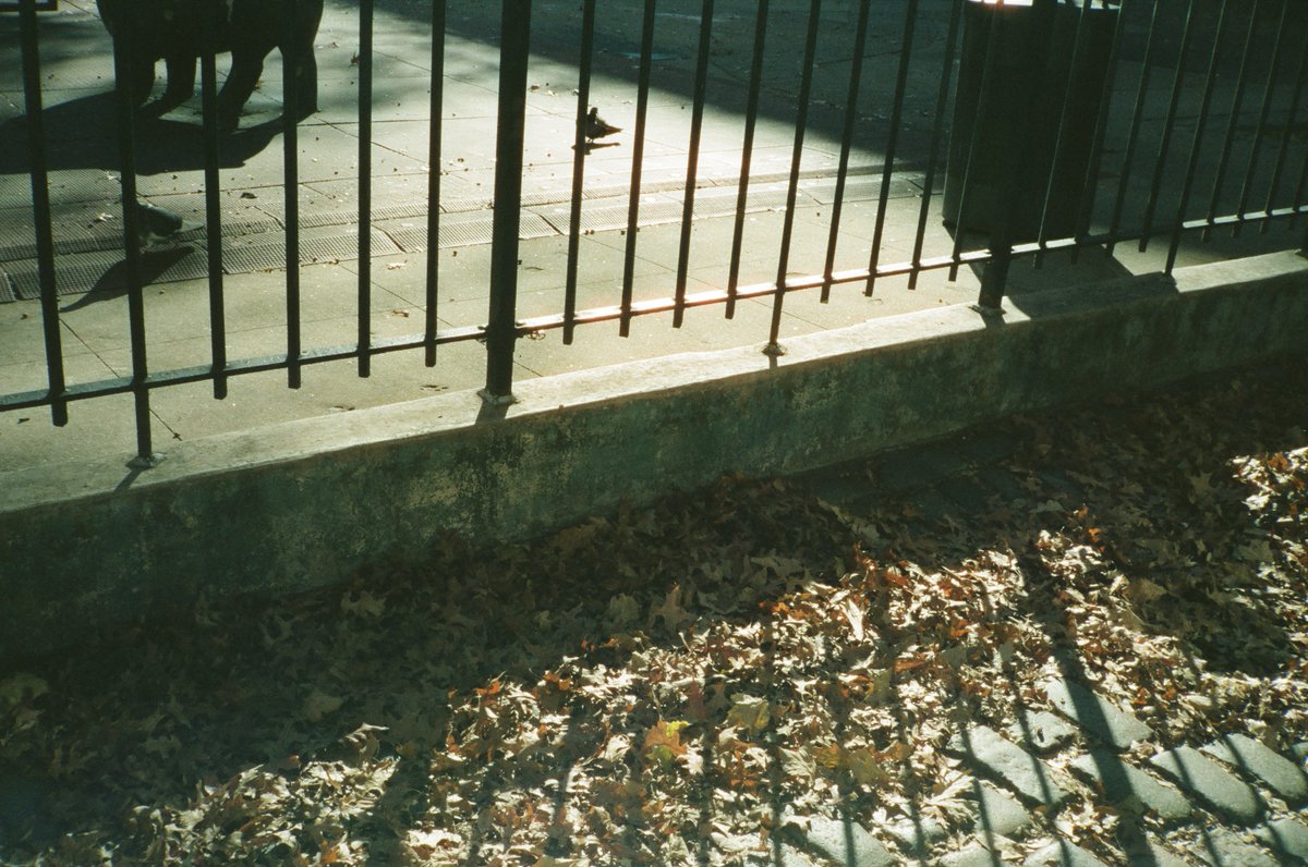 Cory Schmitz tweet media