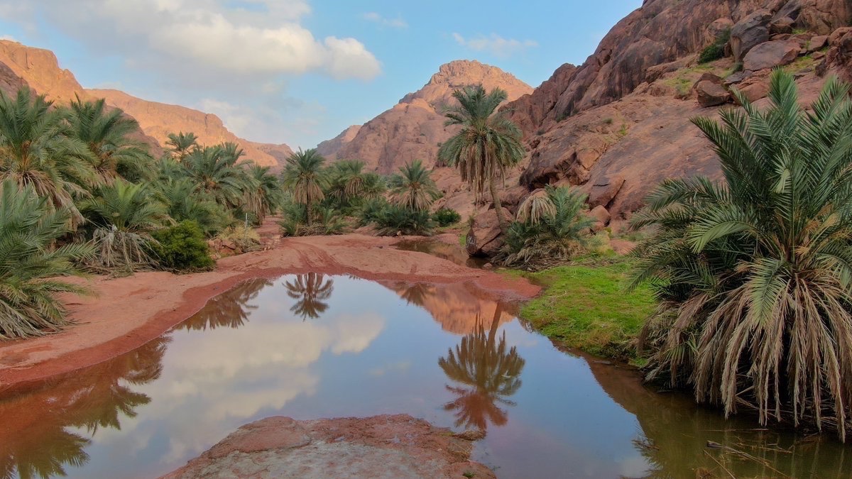 #حائل_الأجمل | 📸 

جوٍ شغوف 🤩☁️
وشعيبٍ سايل 🤩🏞️

📍العاجزة - حائل

#أمانة_منطقة_حائل