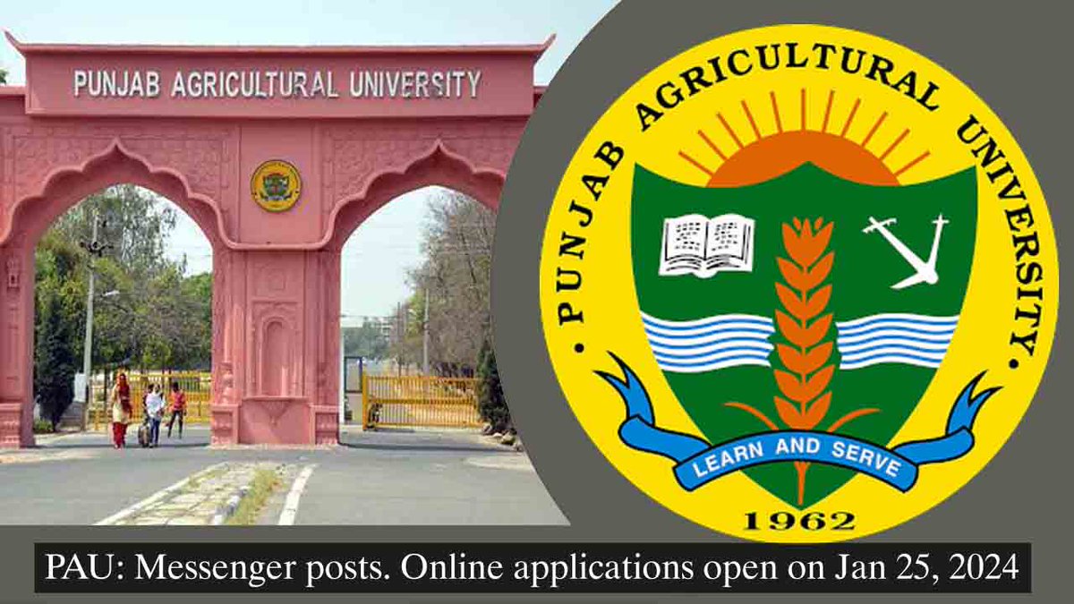 Punjab Agricultural University (PAU): Message Delivery Specialist (Apply) link.medium.com/FtqyvGkQiGb 

#PAUJobs #PunjabAgriculturalUniversity #JobOpening
#PAUCareers #NowHiring #JobAlert #JobOpportunity
#EmploymentAtPAU #PAUVacancy #JobSearch
#PAURecruitment #AgriculturalJobs