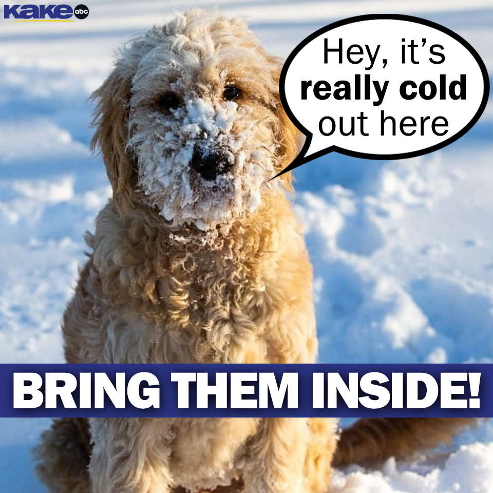 KAKEnews's tweet photo. It's awfully cold out, and sometimes it's just too cold for your pets to stay outside, regardless of the breed.
#KAKEnews #KSwx #pets #bringtheminside #windchill #Kansas https://t.co/ilpj5eKUmd
