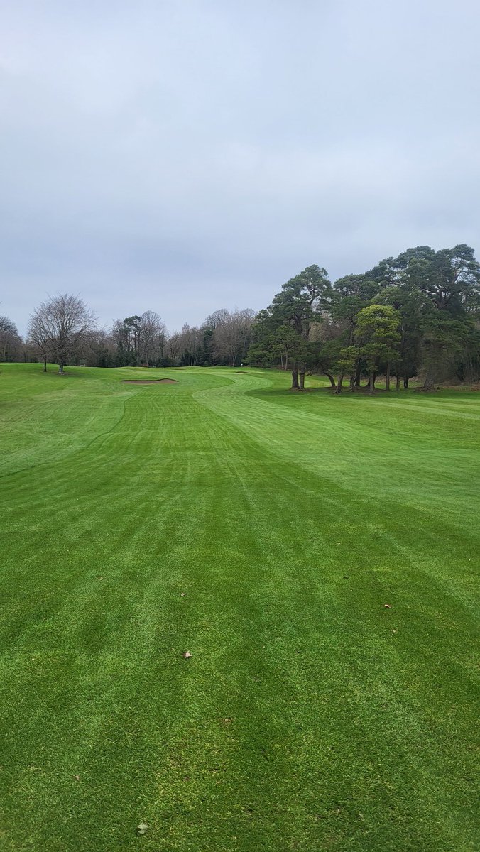 David Perdisatt tweet media