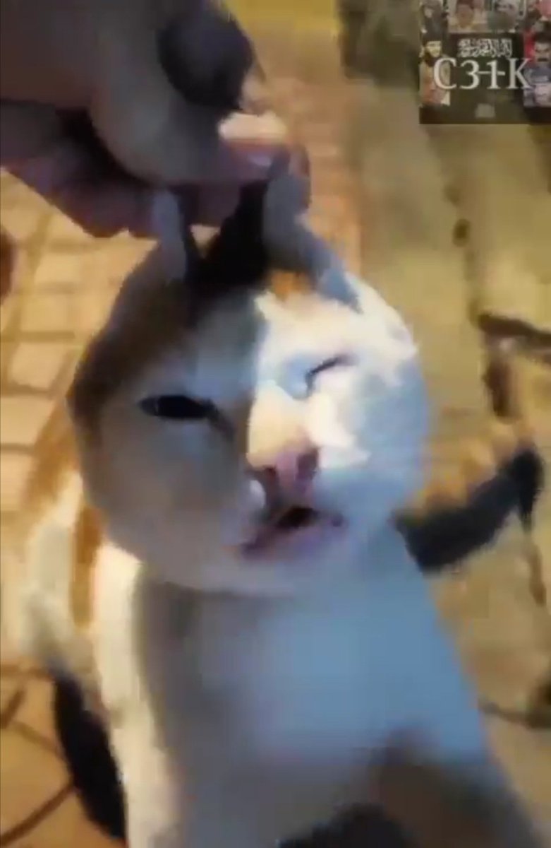 Sosyal medya hesapları belli, nasıl bulunamıyor? 
#c31ktutuklansın