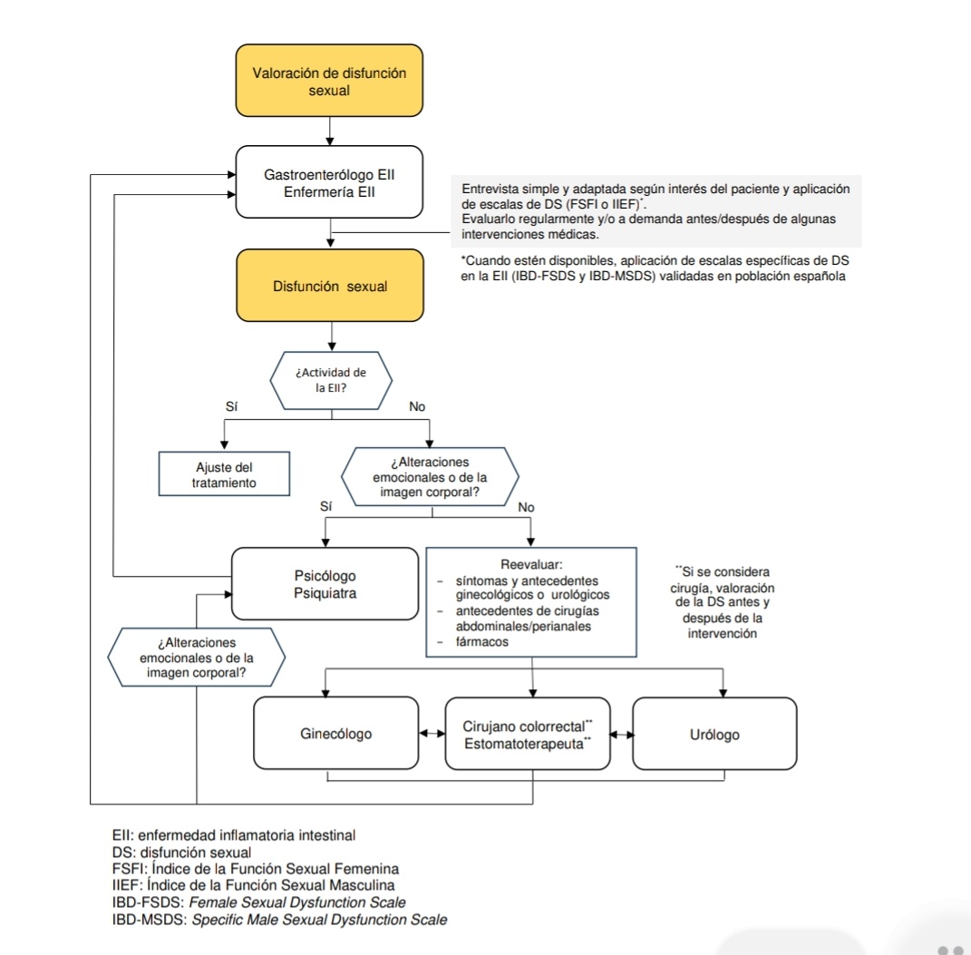 Efuentesval's tweet photo. 👩‍⚕️👨‍⚕️Documento de posicionamiento. Recomendaciones del GETECCU sobre sexualidad y EII

▶️Manejo de la disfunción funcional⤵️ 

@MartaCalvo12 @geteccu 

▶️https://t.co/GxBWw0jCSh https://t.co/aSFOFobzSI