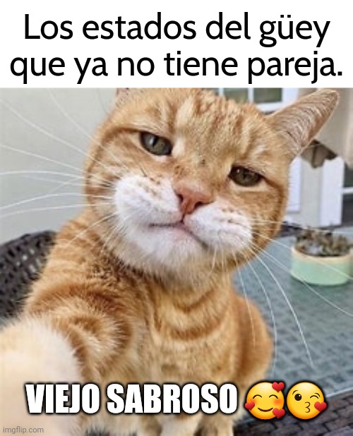 memertolo's tweet photo. (Viernes de Sabiduría Corporal) 🤓😽📱💙
Es viernes y los malqueridos lo saben.
#gato #gatitos #cat #selfie #catselfie #soltero #bateado #malquerido #estadosdelguey #viejosabroso @memertolo #Enero #Viernes #viernesyelcuerpolosabe #Friday #findesemana #weekend #humor #Memes https://t.co/PPX4woGpDt