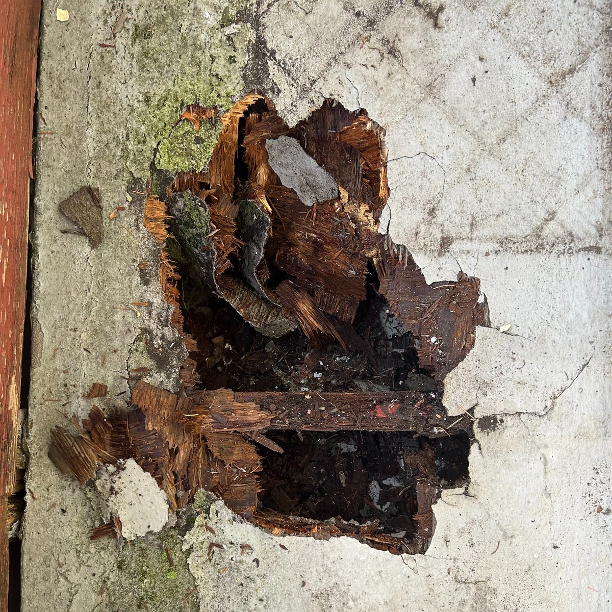 Pic was sent to ACORN by a tenant in a building owned by Peter Wall &amp; Wall Financial—a crumbling hole in a balcony!!

This is why we need to STAND UP FOR SURREY &amp; fight for ACORN's housing justice platform at City Hall tomorrow.

RU with us in the fight for housing justice?