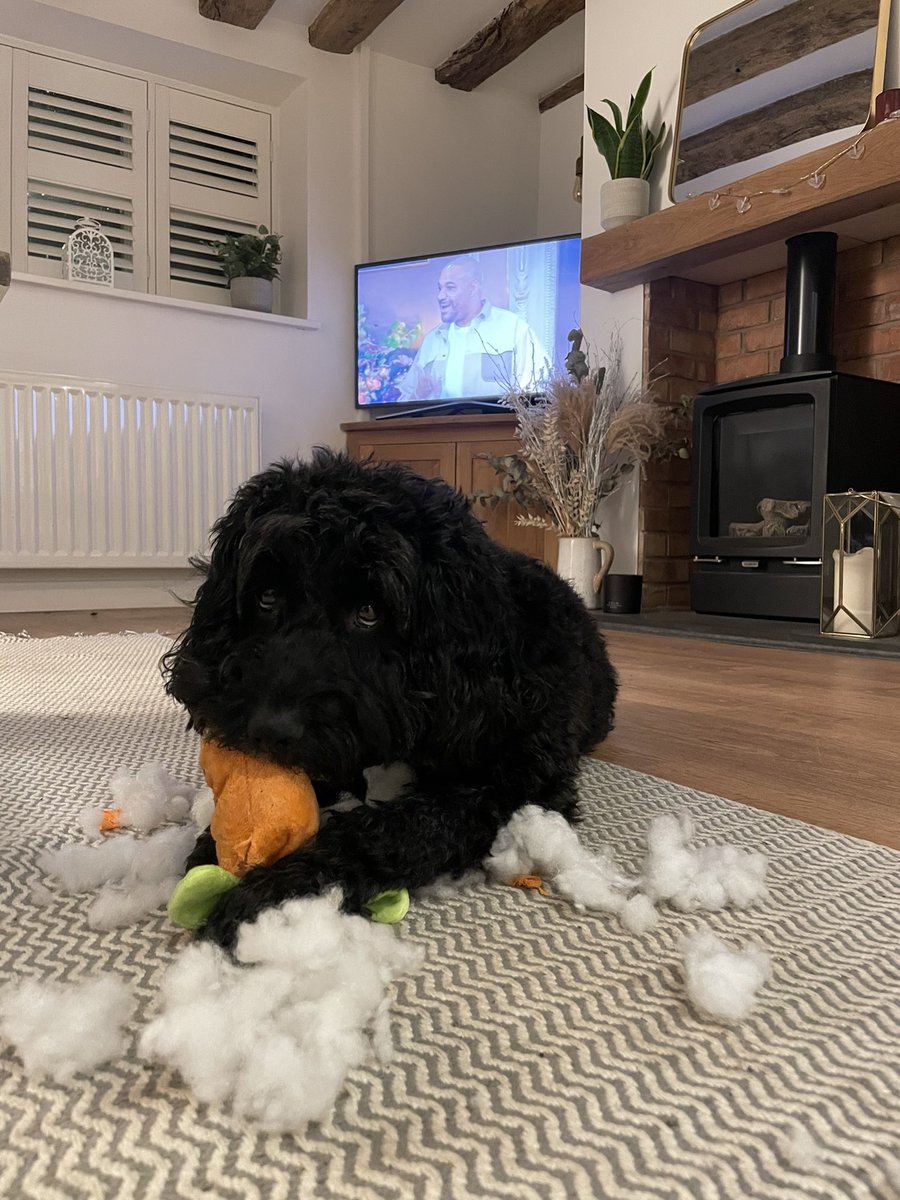 beyondthewander's tweet photo. I know who the real traitor is. RIP carrot 🥕 #TraitorsUK https://t.co/Vi8o0AshwA