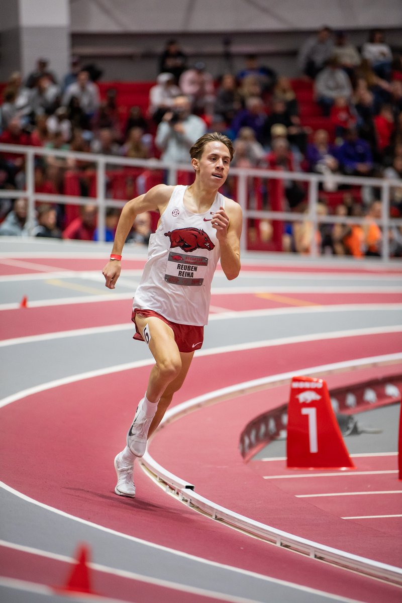RazorbackTFXC's tweet photo. A pair of Razorback Reuben Reina's become 15th father and son combo to register sub-4 in the mile

Reuben Reina, Sr. | 3:58.88 | 1989
Reuben Reina, Jr. | 3:59.91 | 2023

#WPS 🐗 https://t.co/QFoXtJvFwl