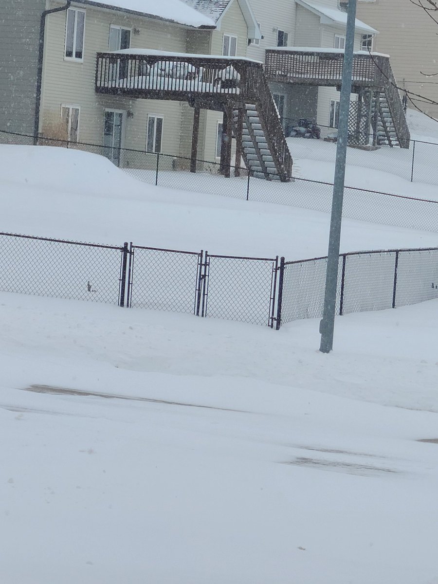 pfabulus's tweet photo. @MaxVelocityWX here are 2 photos from Granger, Iowa (just NW of Des Moines, Iowa). I think we have had approximately 6" min but due to the wind, I don't have a good area to measure (so going off of other local reports). Photo with fence shows the height of a drift (fence is 42"). https://t.co/2jOdWXBkRe