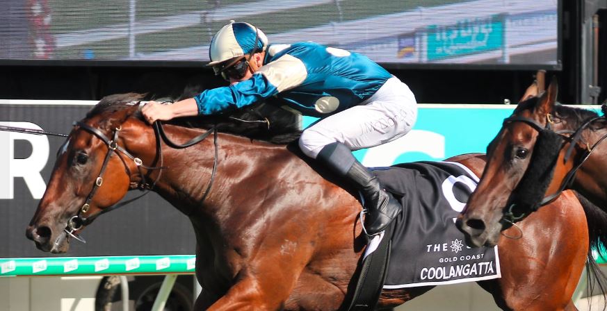 earlythoughts's tweet photo. https://t.co/L7WguftppQ Magic Millions Day and Early Thoughts has it covered. Check out our Early Thoughts Mail and Newsletter. Subscribe for free https://t.co/9oZJXTKt5C