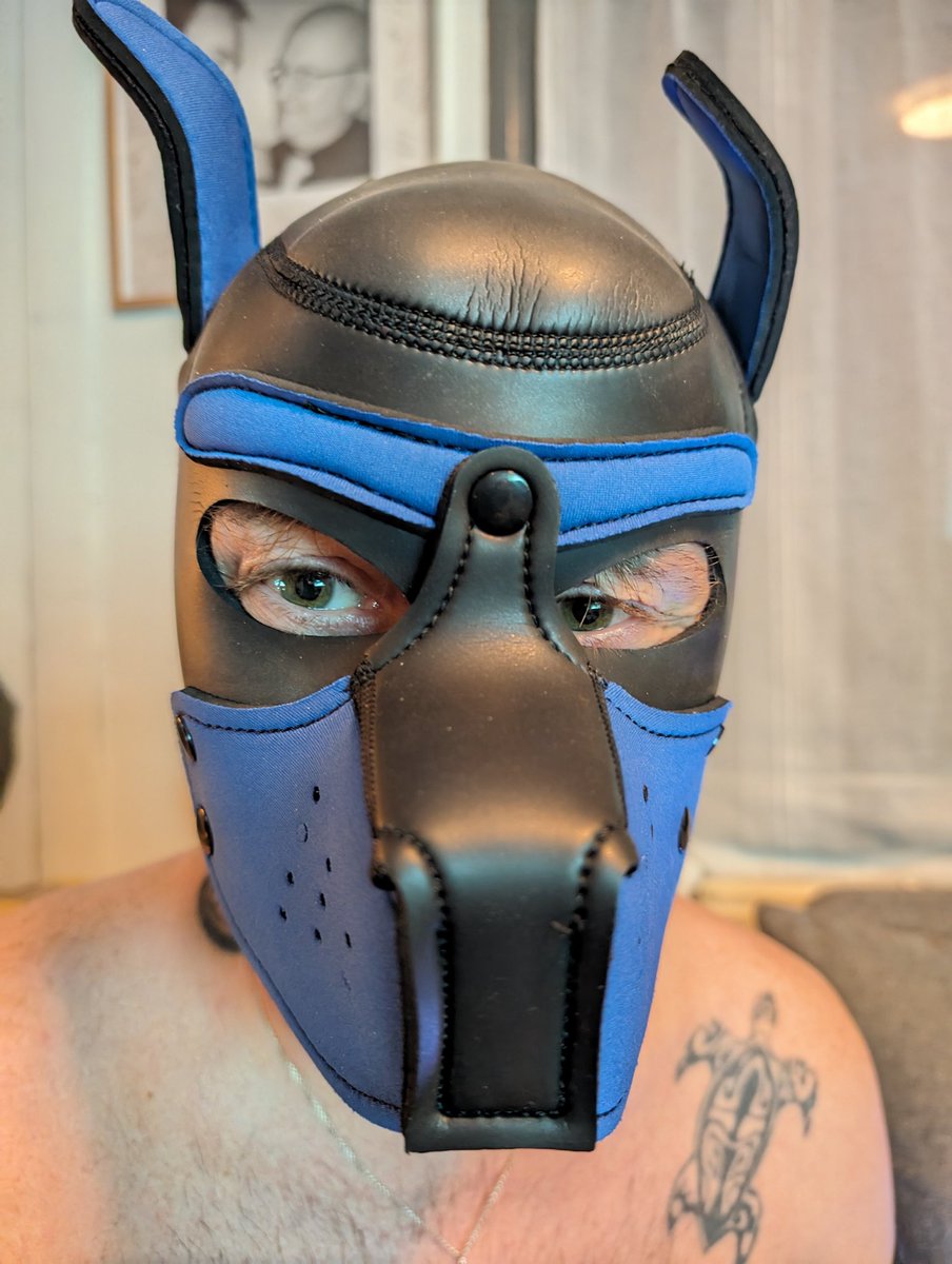 WillyVandervost's tweet image. 