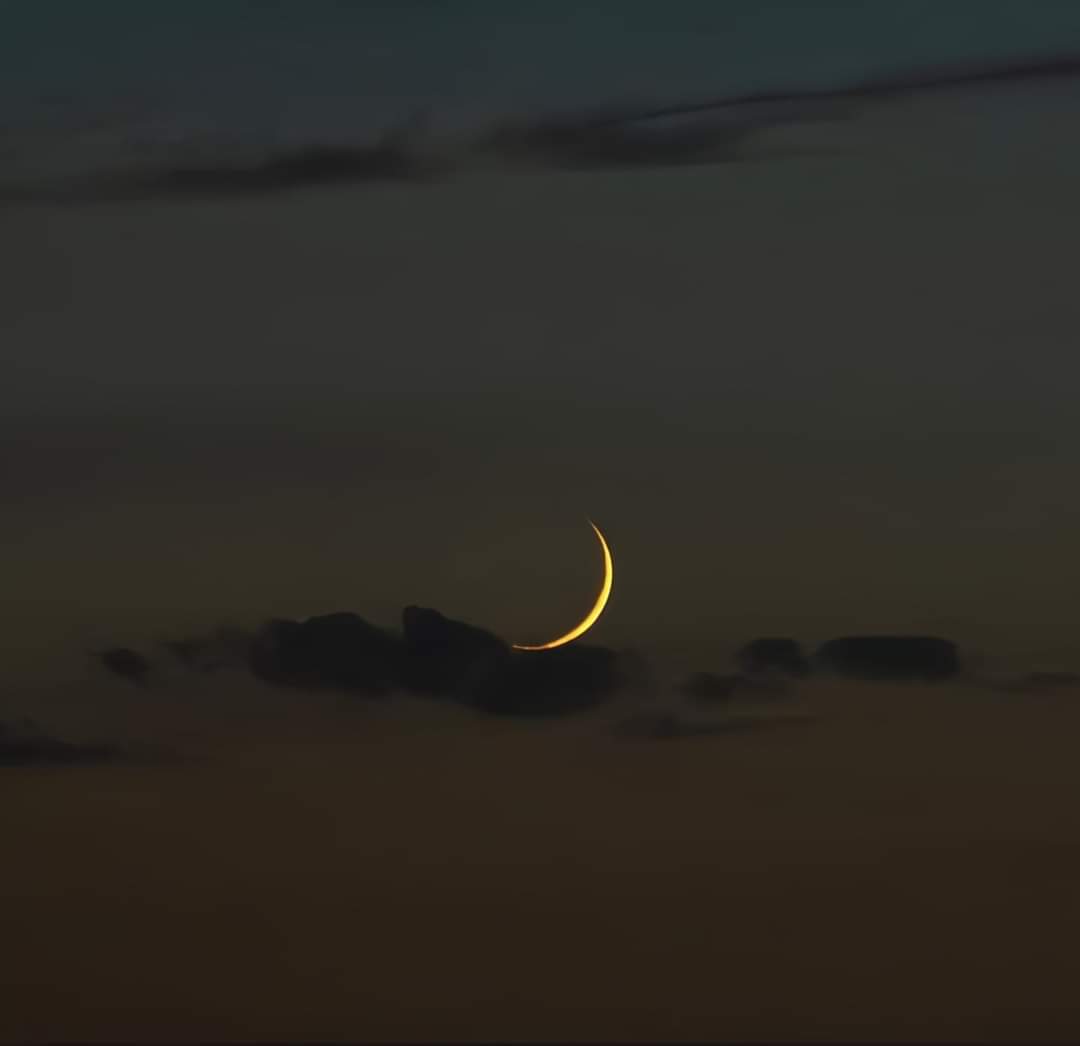 في أول ليلة من رجب‌
"اللهم قُر أعيننا بخيرالأمور، وخير الناس وخير الأيام والأقدار، إنّك على كل شيء قدير."⁦❤️⁩🤲