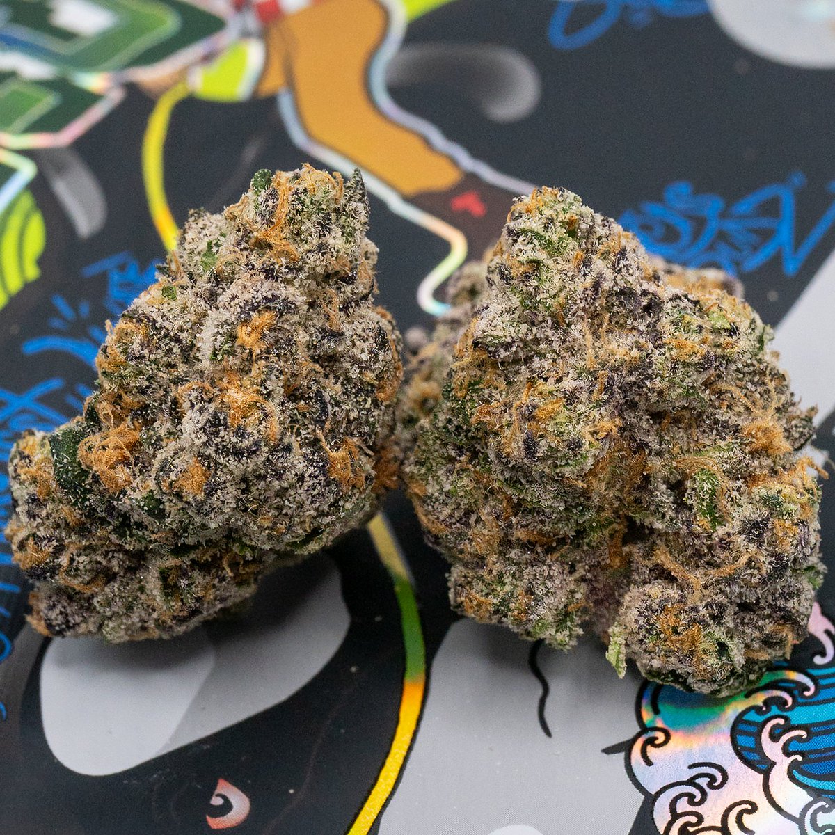 Tedsbudzco_'s tweet image. Blue Shamu Strain Info🐳🔥
#TedsBudz x #RichTheFactor

tedsbudz.com/post/blue-shamu