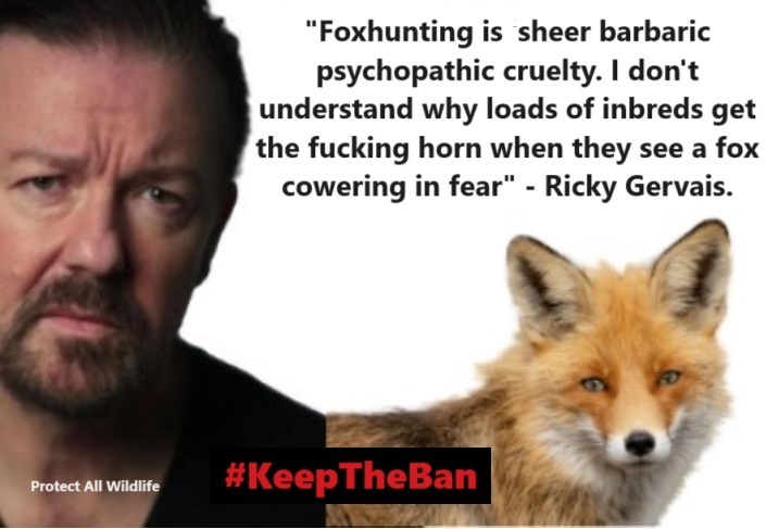 'Foxhunting is sheer barbaric psychopathic cruelty. I don't understand why loads of inbreds get the fucking horn when they see a Fox cowering in fear!' ~ @RickyGervais.

#KeepTheBan and ENFORCE it (🚔)!