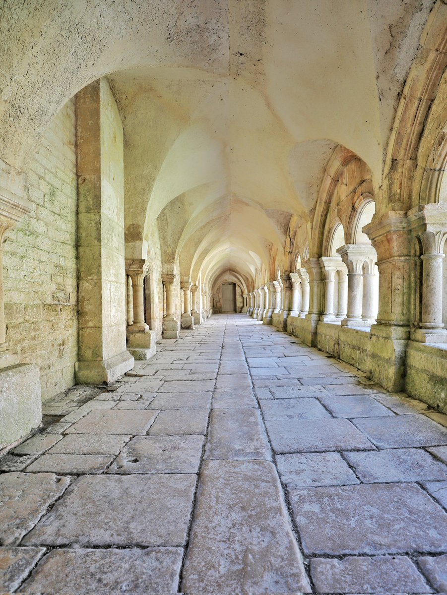 AbbayeFontenay's tweet image. 🟢 𝗦𝗨𝗜𝗩𝗘𝗭 𝗟𝗔 𝗟𝗜𝗚𝗡𝗘 👀 | Tous les chemins mènent à l'abbaye de Fontenay, y compris en hiver ! Nous vous accueillons tous les jours, de 10h à 12h et de 14h à 17h. ⛪️ #Bourgogne #Patrimoine #lacotedorjadore

🌐 abbayedefontenay.com