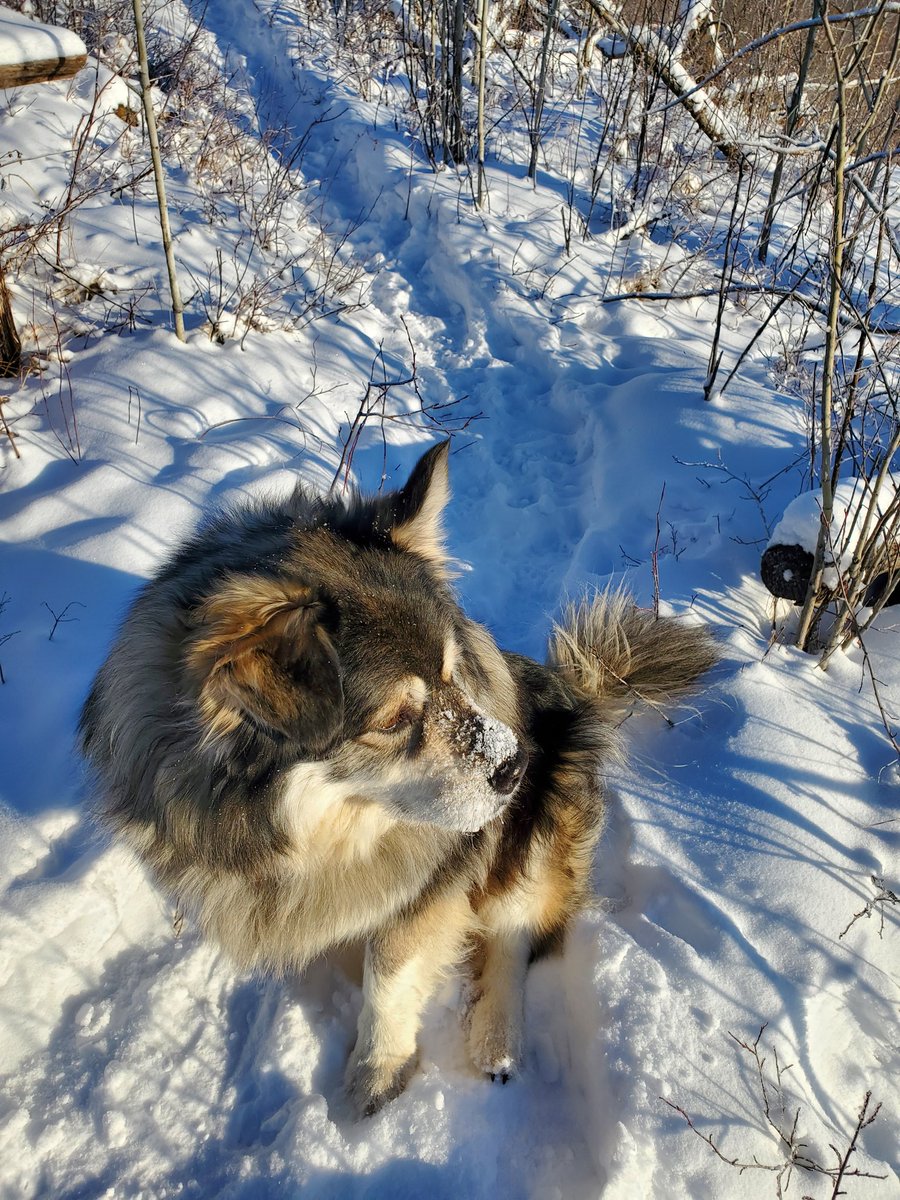 Linda Mywaart tweet media