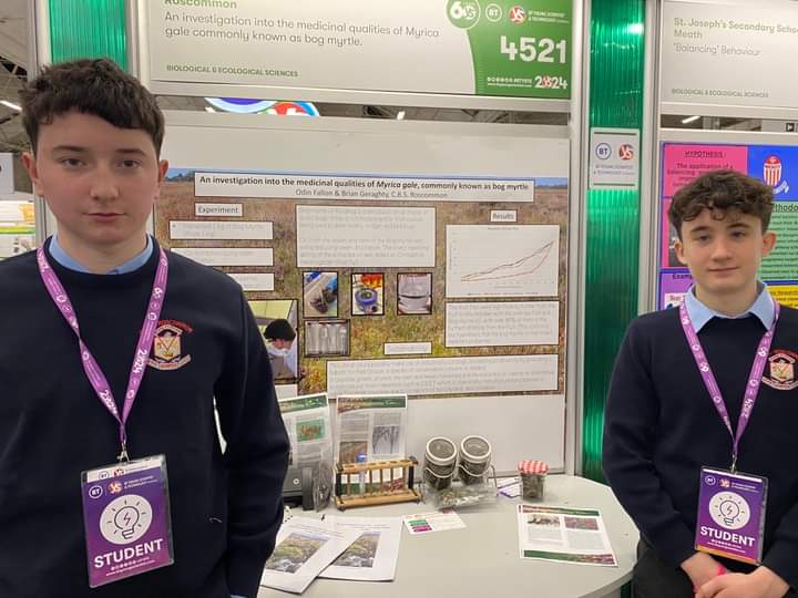 cbsroscommon's tweet photo. Congrats to TY students Odin Fallon and Brian Geraghty who represented CBS at the BT Young Scientist taking place in the RDS. The project investigated the medicinal properties of Bog Myrtle. Well done lads, what a fantastic achievement. We are very proud of you! 
#youngscientists https://t.co/PlX7UEyiLt
