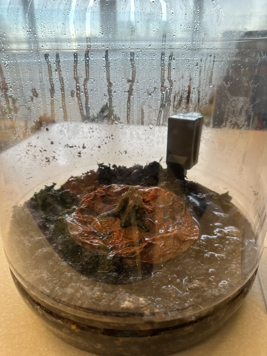 WWP Library 🇺🇦🌻 tweet media