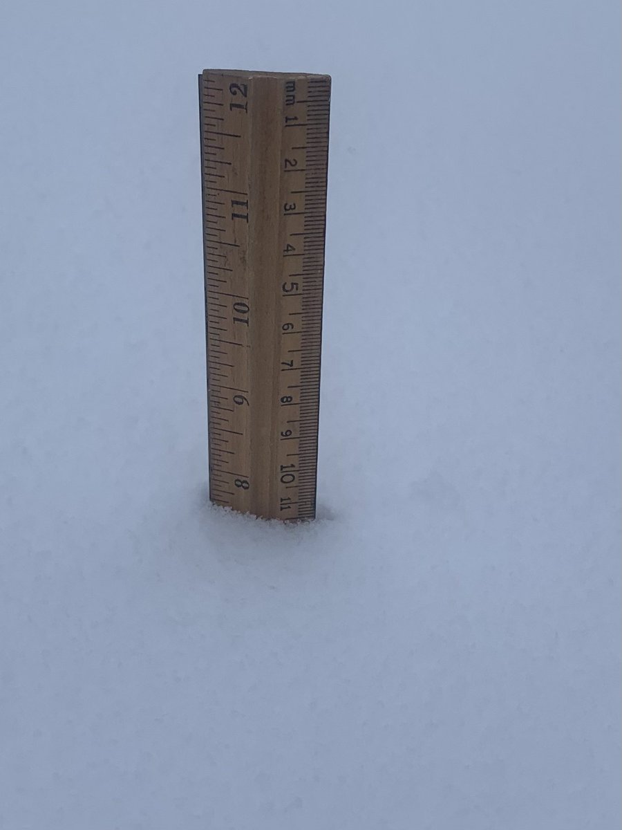 stusorrel's tweet photo. @NWSDesMoines @IowaWXNetwork 
Almost 8 inches as of 13:00 in Clive/Waukee https://t.co/Uw9PNSOoBR