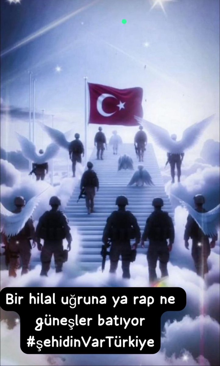 #ŞehidinVarTürkiye