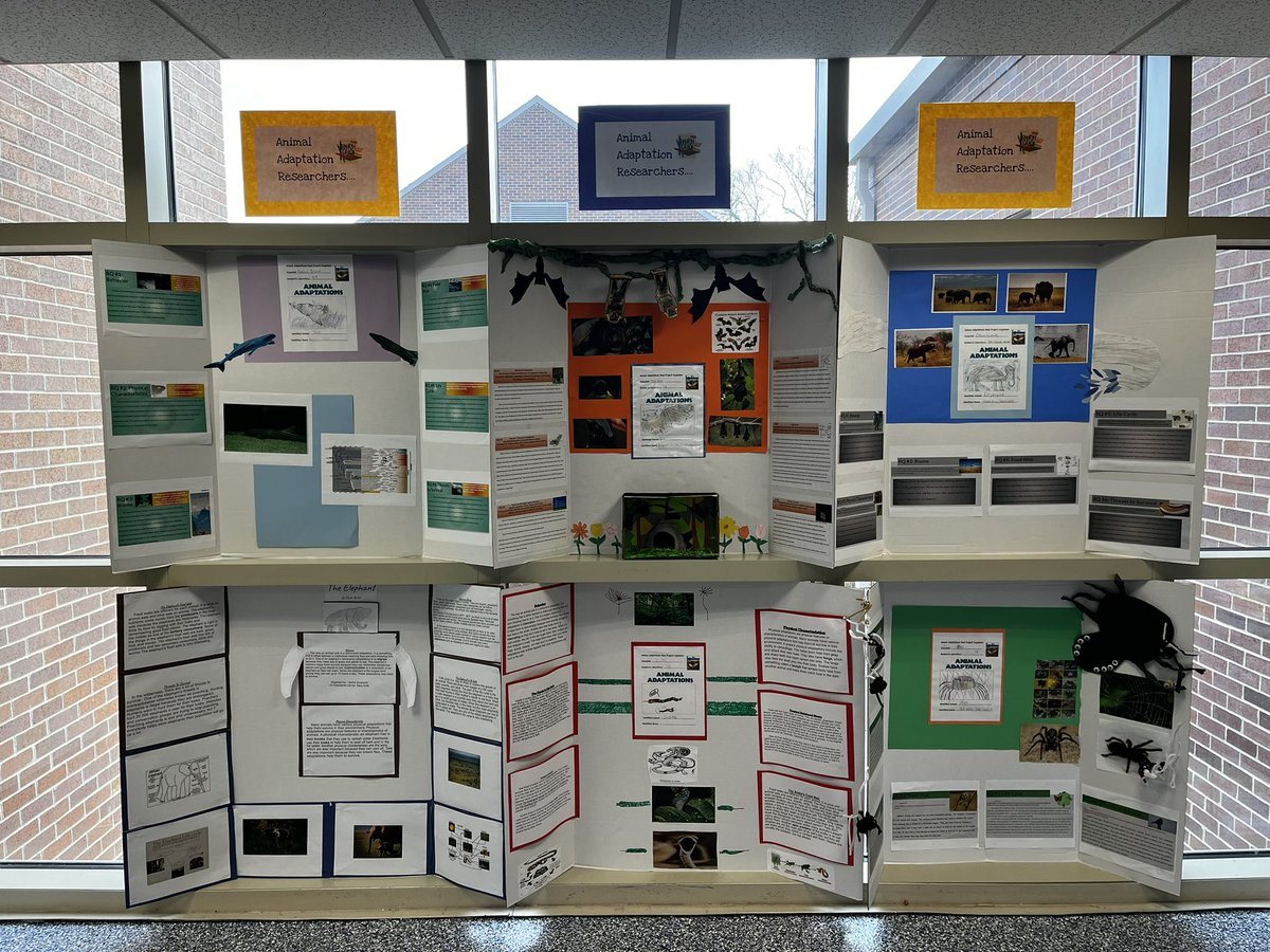 JMillerNHSSD's tweet photo. 4th are thoroughly enjoying their exploration into the world of animals, adaptations, and biomes! Their journey through the writing process and the completion of their research projects have culminated in creative trifolds that showcase their newfound knowledge!
#NHSD 💗💙🦁💙💗 https://t.co/wrCgiRgKqu