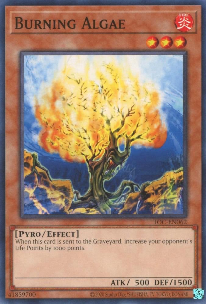 Just so everyone is aware. This is the card Bonfire was used to search in the anime. Buy in now before the buyouts. Your welcome. #yugioh #yugiohfanart #YuGiOhMasterDuel #yugiohtcg #bonfire Just so everyone is aware. This is the card Bonfire was used to search in the anime. Buy in now before the buyouts. Your welcome. #yugioh #yugiohfanart #YuGiOhMasterDuel #yugiohtcg #bonfire