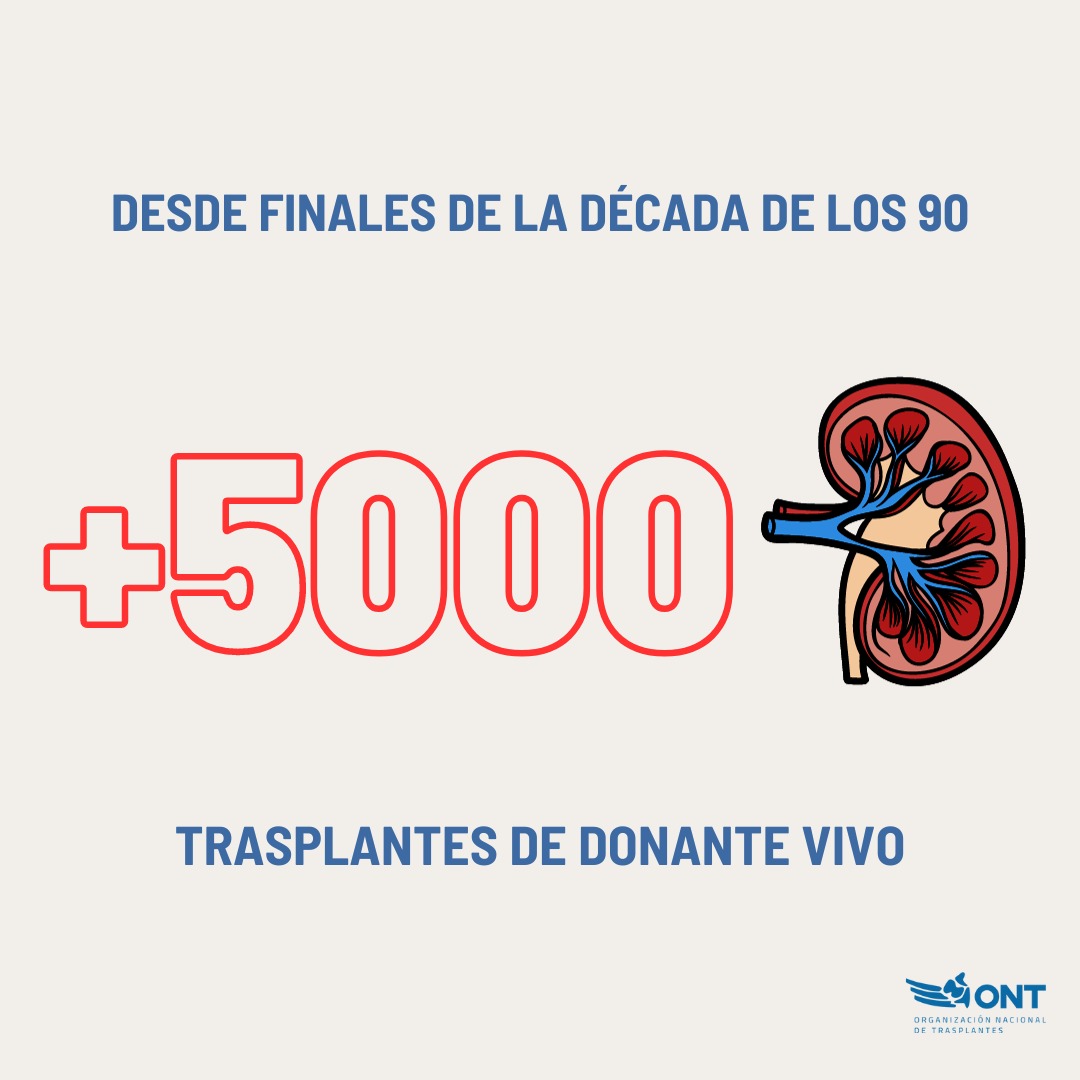 🫶 Como curiosidad, desde que se pusiera en marcha el programa de trasplante renal de donante vivo en #España, la calidad de vida de ➕ de 5.000 personas ha mejorado gracias al gesto altruista de quienes donan un #órgano en vida #dejahuella #OrgulloONT💙