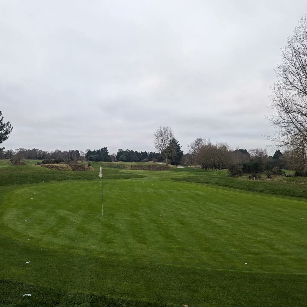 SMGCgreens's tweet photo. @T2GBentgrass @T2GTurfGuy @JFieldHGK Same 👌 https://t.co/jQCYSOzrIV