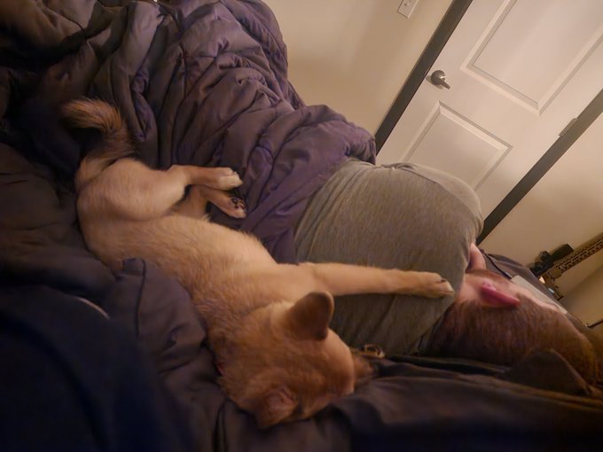 She fell asleep with her two paws on his back https://t.co/vxzyGiOYHa<a href="/tag/cosplayer"class="tags"><span>#cosplayer</span></a><a href="/tag/cosplay"class="tags"><span>#cosplay</span></a><a href="/tag/skeletor"class="tags"><span>#skeletor</span></a><a href="/tag/heman"class="tags"><span>#heman</span></a><a href="/tag/skeletorcosplay"class="tags"><span>#skeletorcosplay</span></a>