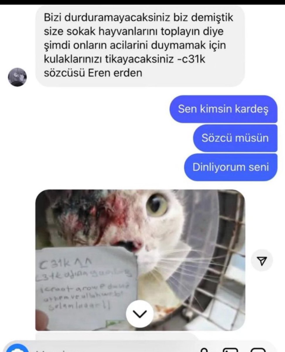 guclusinemm's tweet photo. Telegramda organize çete kurulmuş . Mustafa Kemal Atatürk’e şehitlerimize hakaretler yağdırıyorlar . Sokak hayvanları işkenceyle öldürüyorlar kim bunlara dur diyecek Sayın @AliYerlikaya @TC_icisleri devlete kafa tutan bu çete kimler !!! #c31ktutuklansın https://t.co/oZswOuNlZm