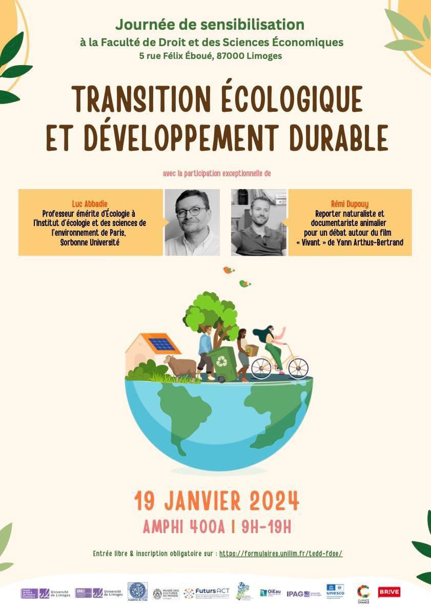 Monica Cardillo tweet media