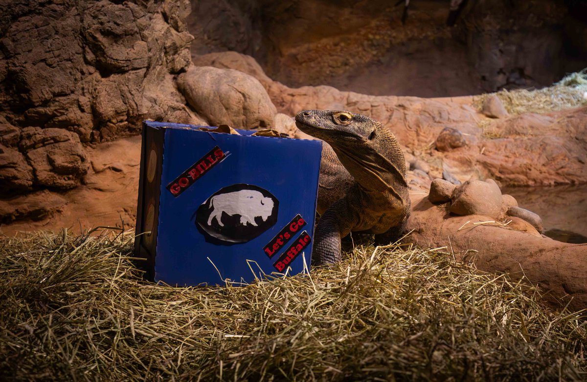 Buffalo Zoo tweet media