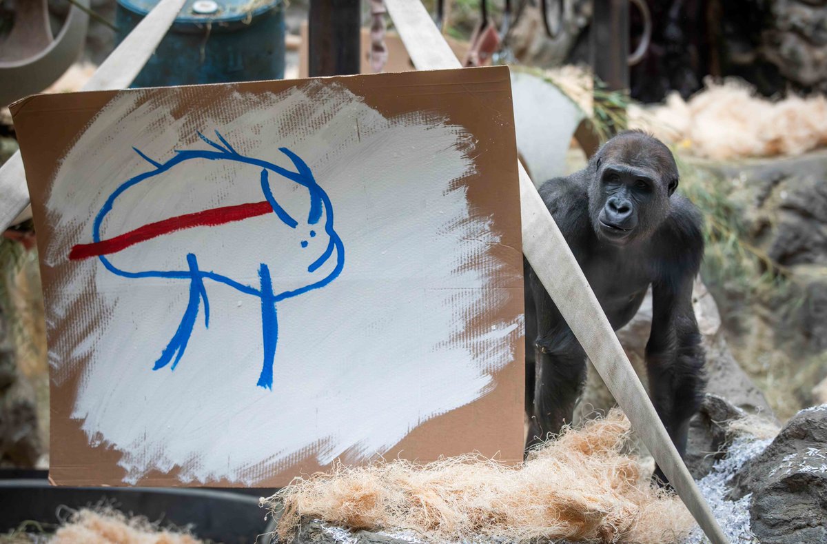 Buffalo Zoo tweet media