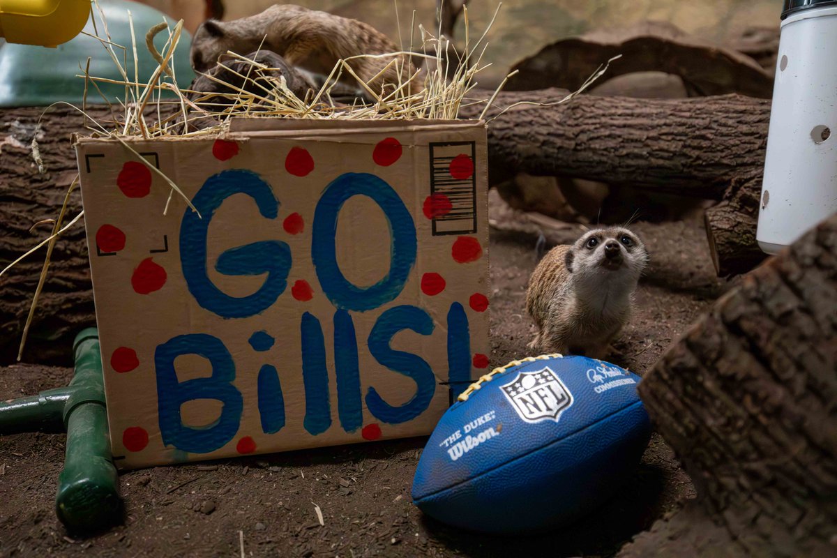 Buffalo Zoo tweet media