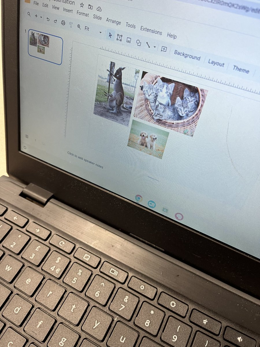 LakesideYork's tweet image. This afternoon in computing, the Gorillas used their Chromebooks to create a Google Slide showing different animal offspring. We then shared our work with the rest of the class.#LakeComputing