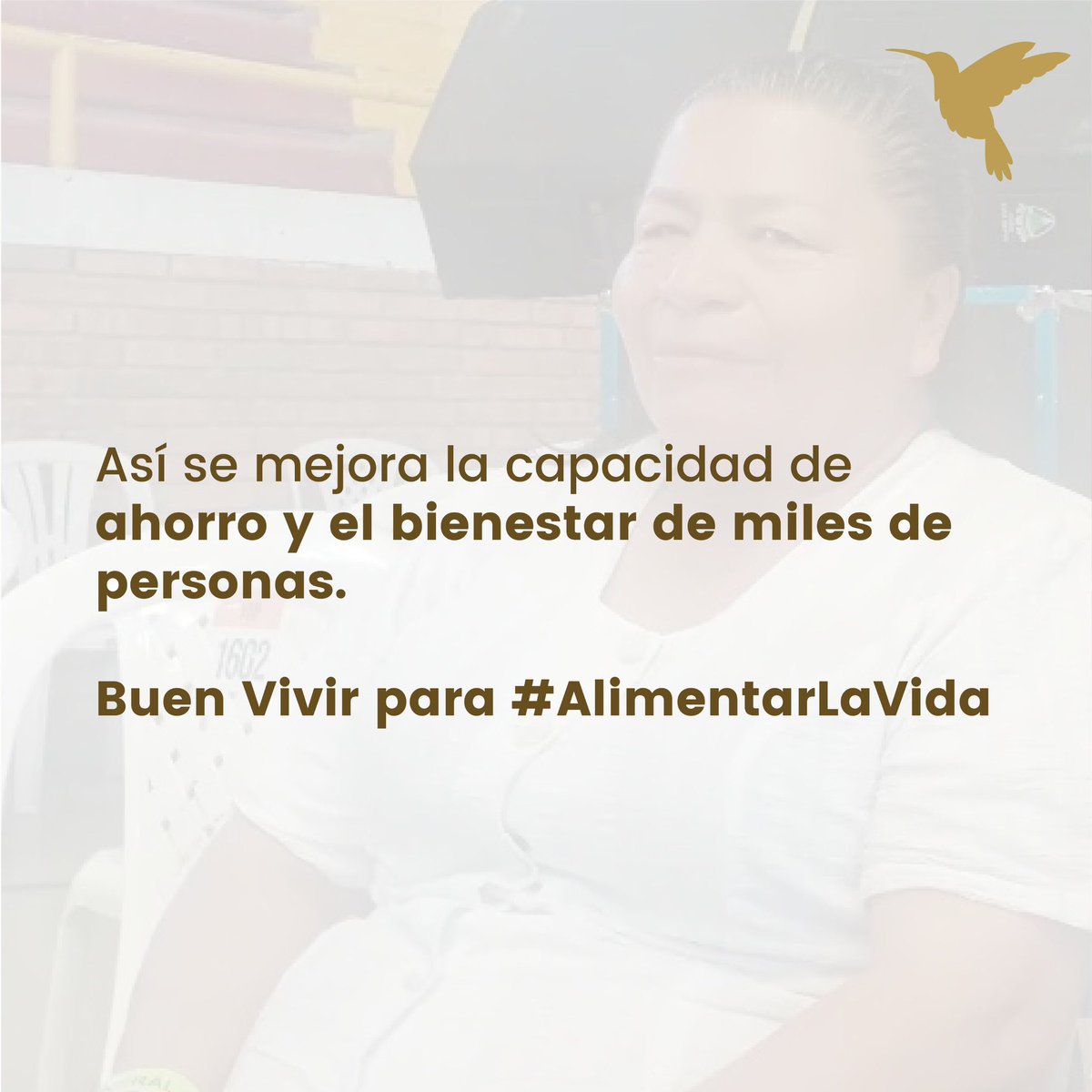 albertobemo's tweet photo. El Plan Nacional de Desarrollo 'Colombia Potencia Mundial de la Vida' es el plan del buen vivir. Con él los pensionados y pensionadas que devenguen de 1 millón 300 mil a 3 millones 900 mil pesos verán desde ahora reducido su aporte en salud del 12 al 10 por ciento.

Esta reducción, producto de la reglamentación por parte del Ministerio de Salud y Protección Social del árticulo 78 del PND, le dará a miles de colombianos y colombianas mayor capacidad de ahorro, de mejorar sus condiciones de bienestar y de tener una vejez con dignidad.

Cambios para #AlimentarLaVida