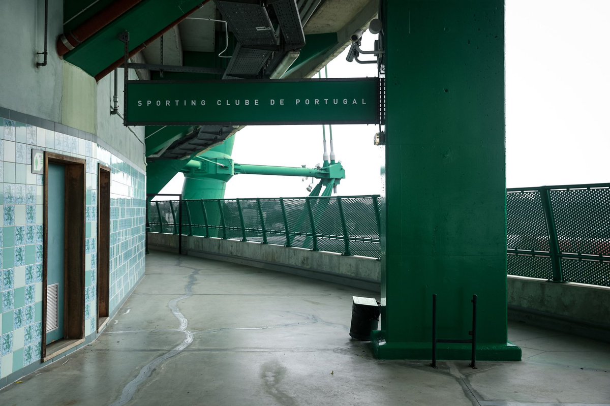 _pedro1906's tweet photo. Gostava que o Sporting fizesse algo deste género dentro e até fora do estádio em alguns muros, dá um aspeto incrível como se pode ver no caso do Vitória pelas fotos e ao vivo ainda fica melhor.

Trabalho incrível do @GuelDoIt! https://t.co/HU95RC5DAg