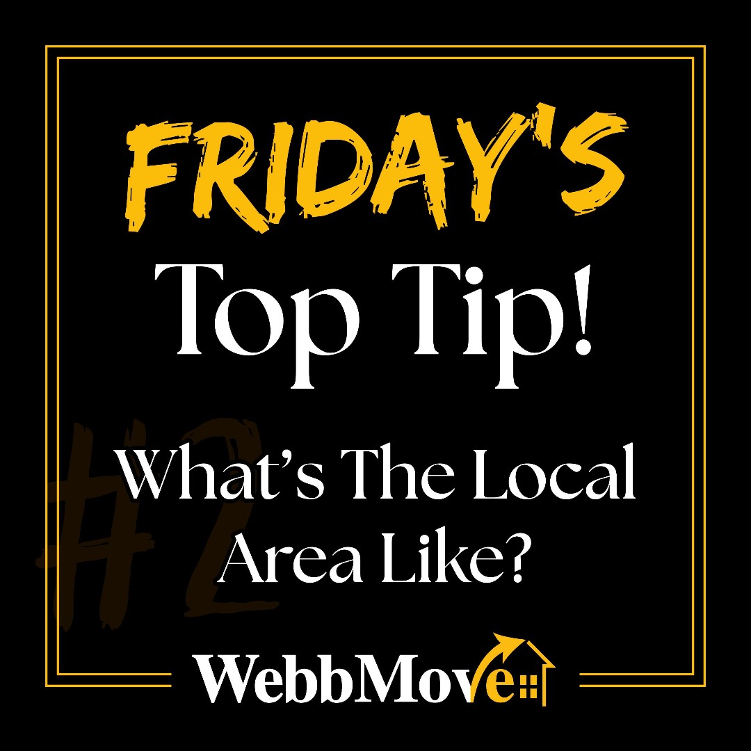 WebbMove tweet picture