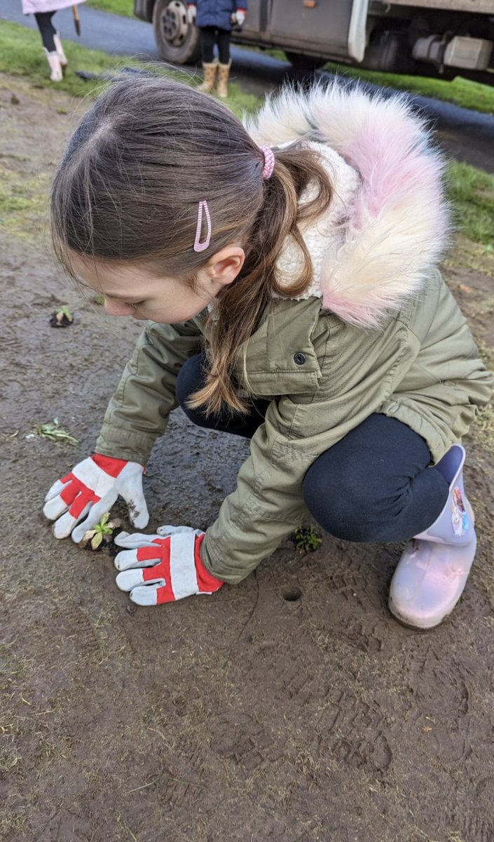 We had a great day with students from Pembroke Primary school who helped us plant wildflower plugs at Strongbow Road Community Nature Space in Chepstow.
@MonCountryside @MonmouthshireCC @natureisntneat 
#localplacesfornature