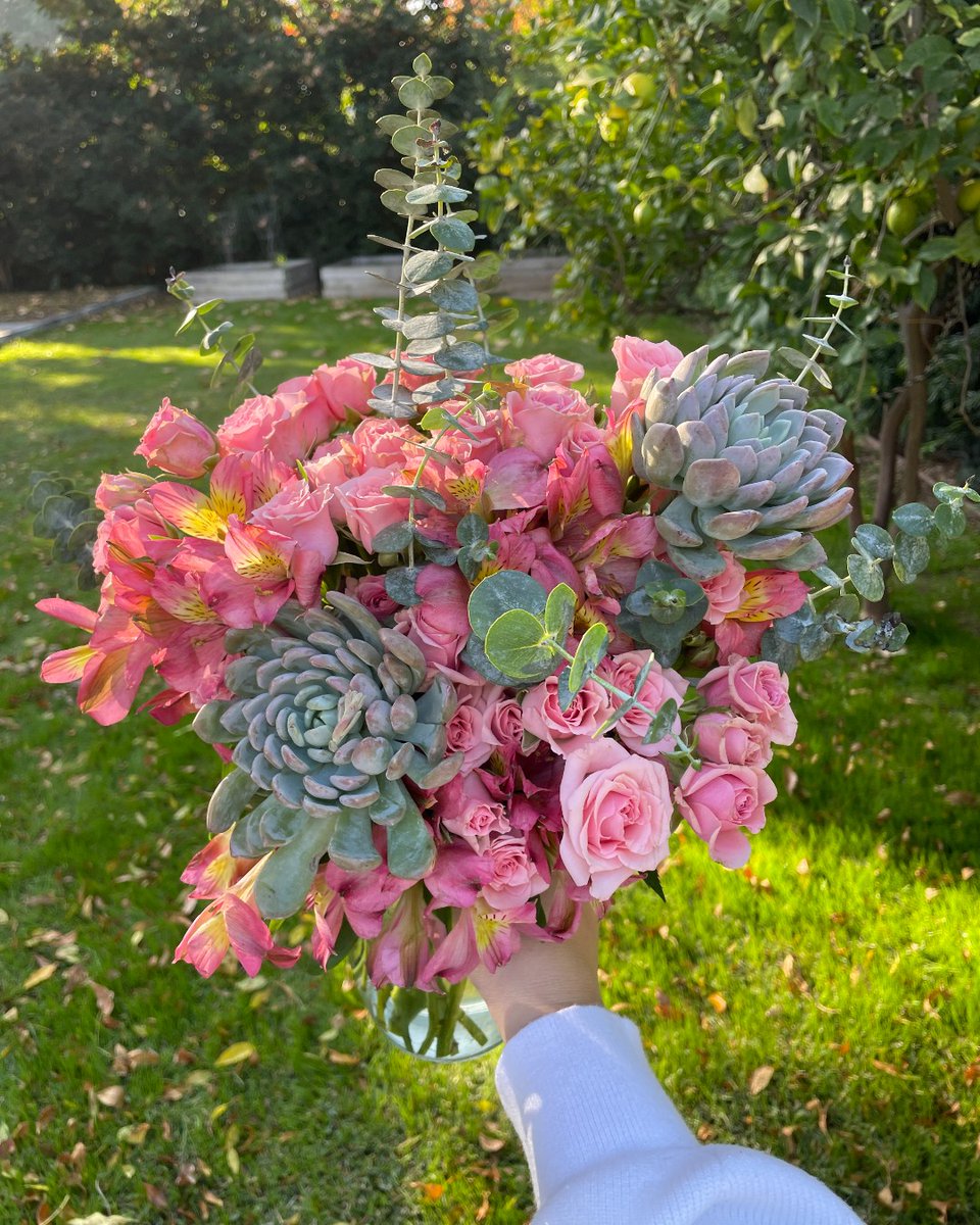 Crush-worthy blooms 🎀 bouqs.com/flowers/valent…